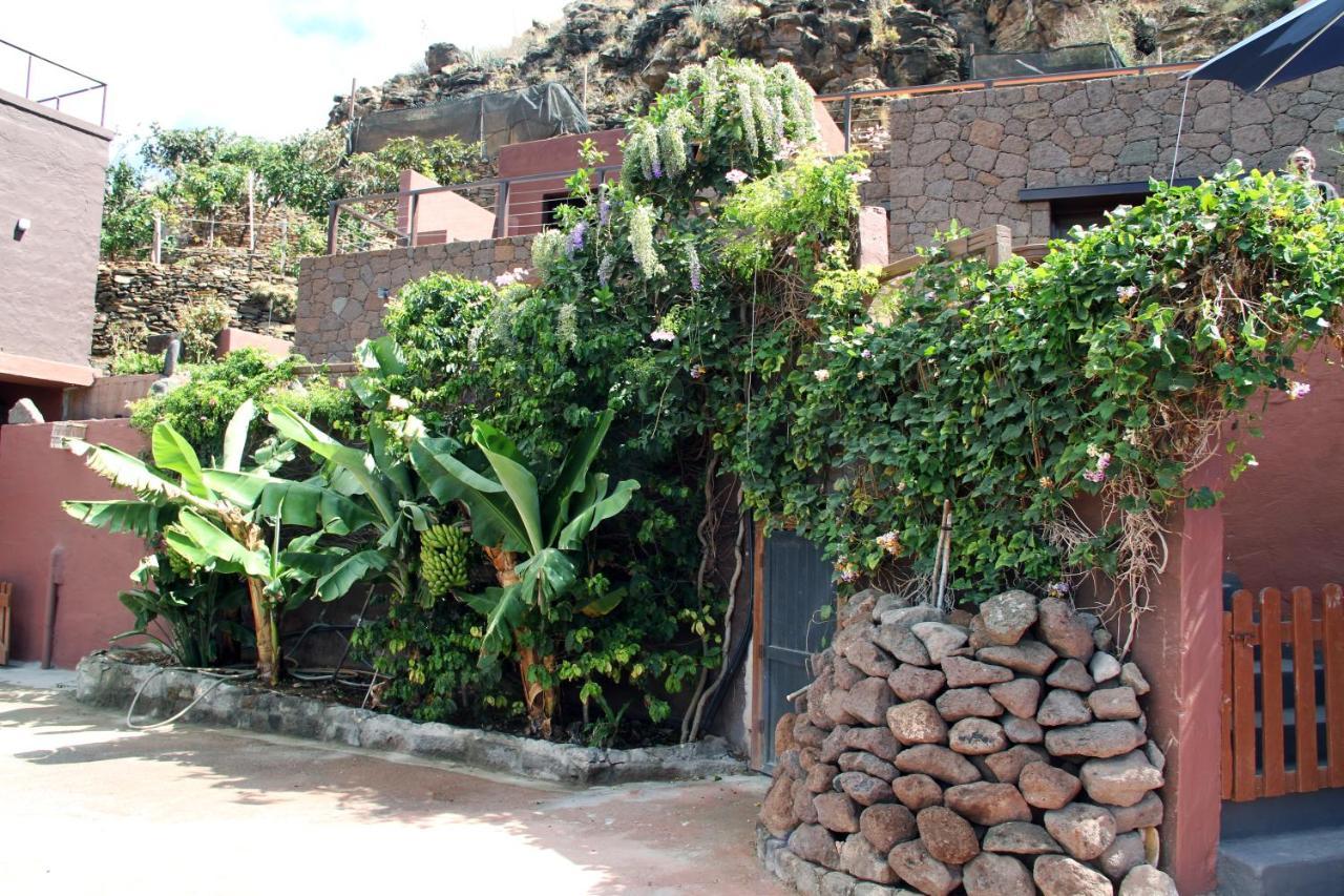 Tonono'S Village Santa Maria de Guia de Gran Canaria Exteriér fotografie