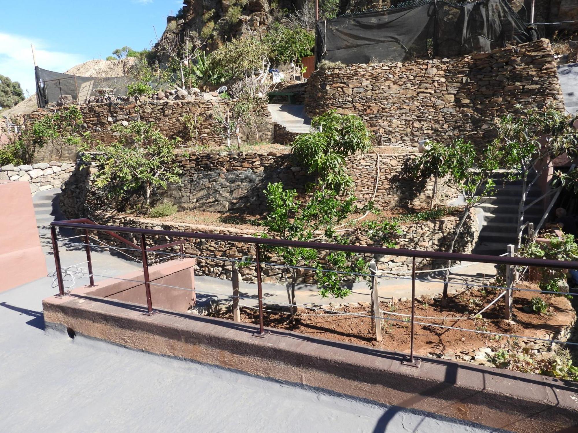 Tonono'S Village Santa Maria de Guia de Gran Canaria Exteriér fotografie